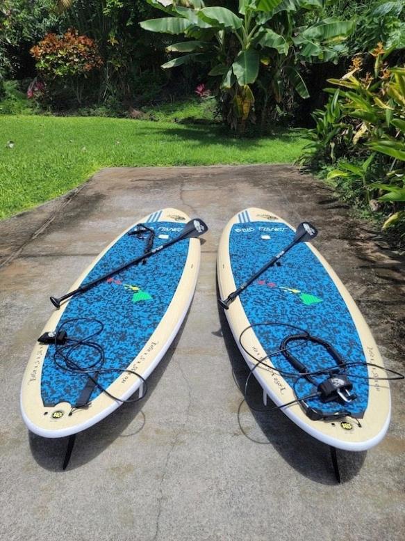 Newly Renovated Condo With Sup Paddle Boards And Golf Clubs Included Kailua-Kona Dış mekan fotoğraf