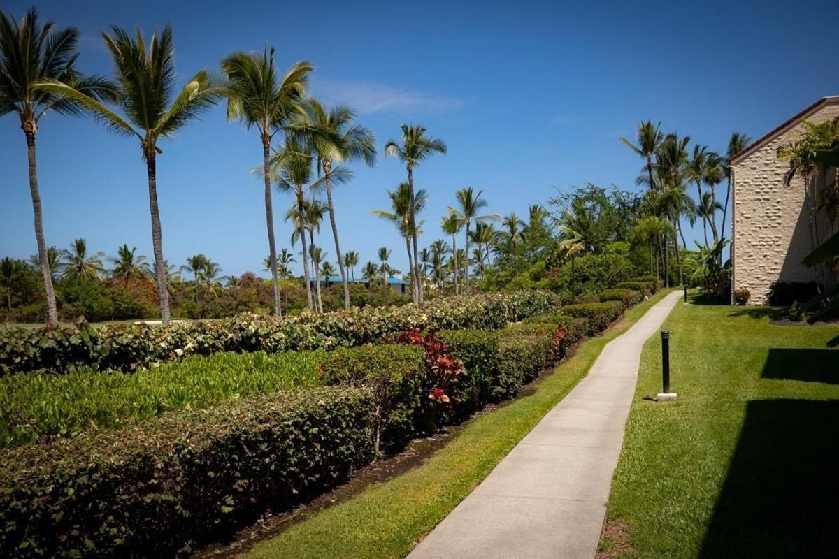 Newly Renovated Condo With Sup Paddle Boards And Golf Clubs Included Kailua-Kona Dış mekan fotoğraf