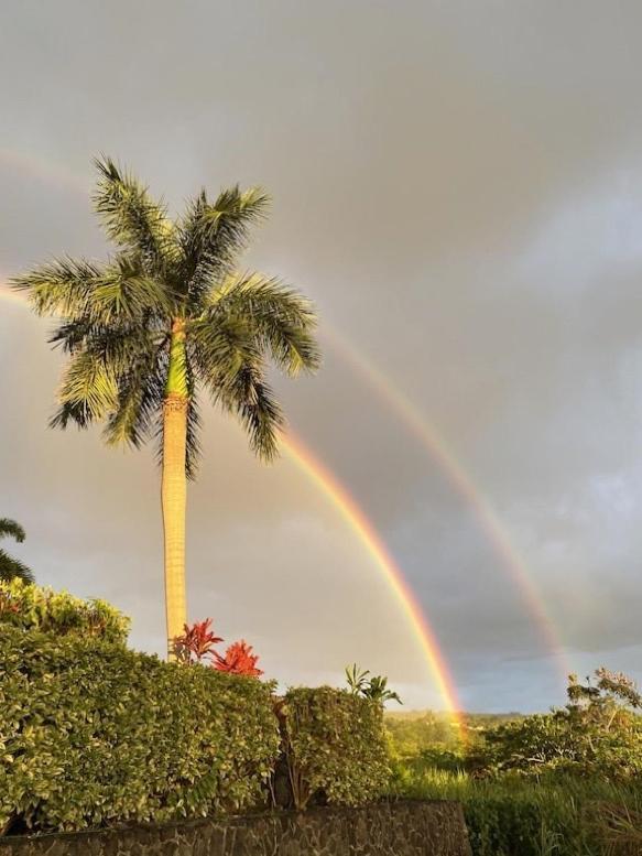 Newly Renovated Condo With Sup Paddle Boards And Golf Clubs Included Kailua-Kona Dış mekan fotoğraf